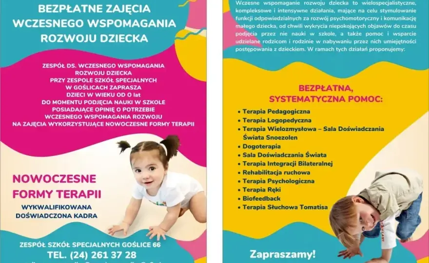 Wczesne wspomaganie rozwoju dziecka - Jak działa system?