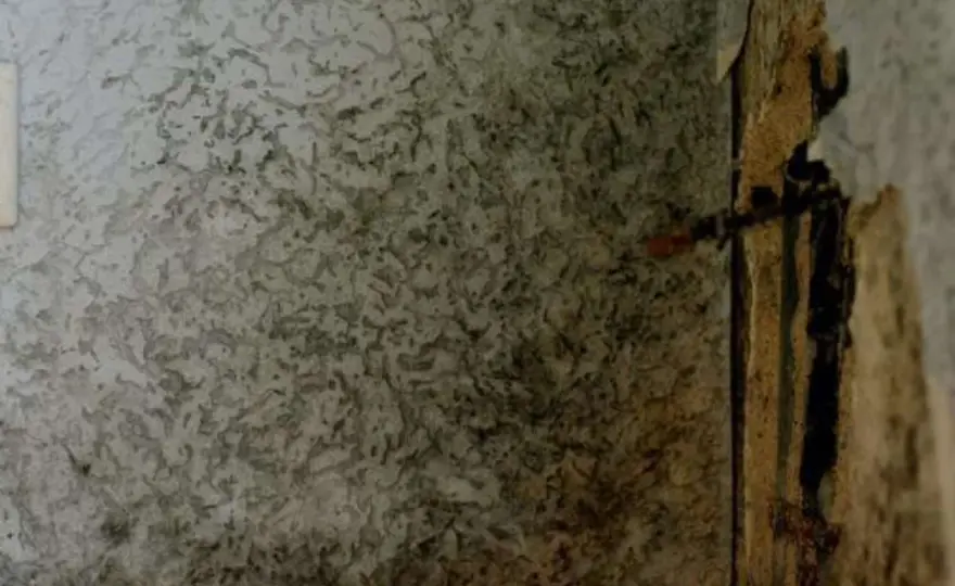 Feuchte Wand? Anzeichen erkennen & Ursachen finden!