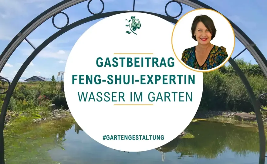 Wasserfall im Feng Shui - so findest du den besten Platz