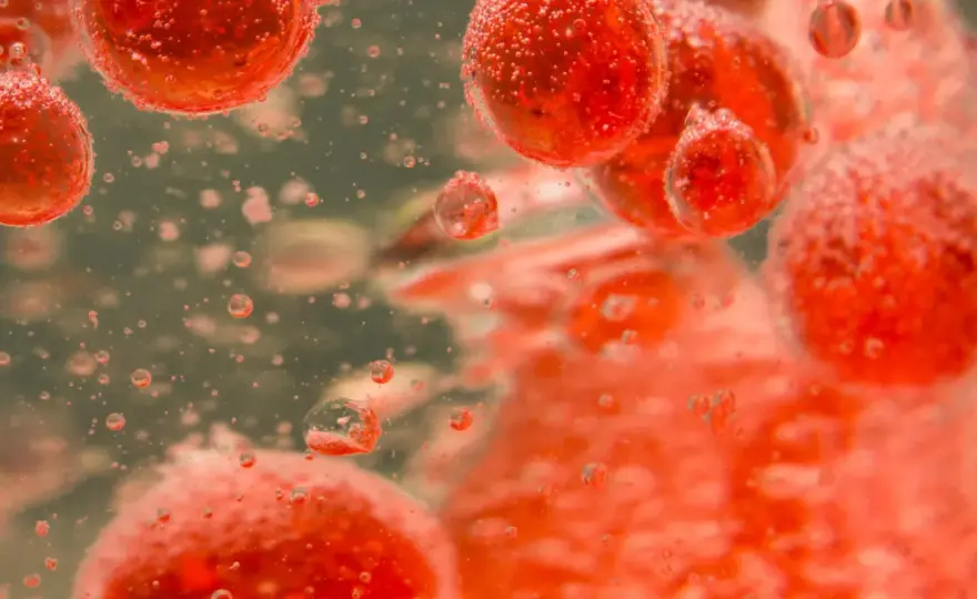 Erytrocyty podwyższone - Co oznacza ten wynik i kiedy jest groźny?