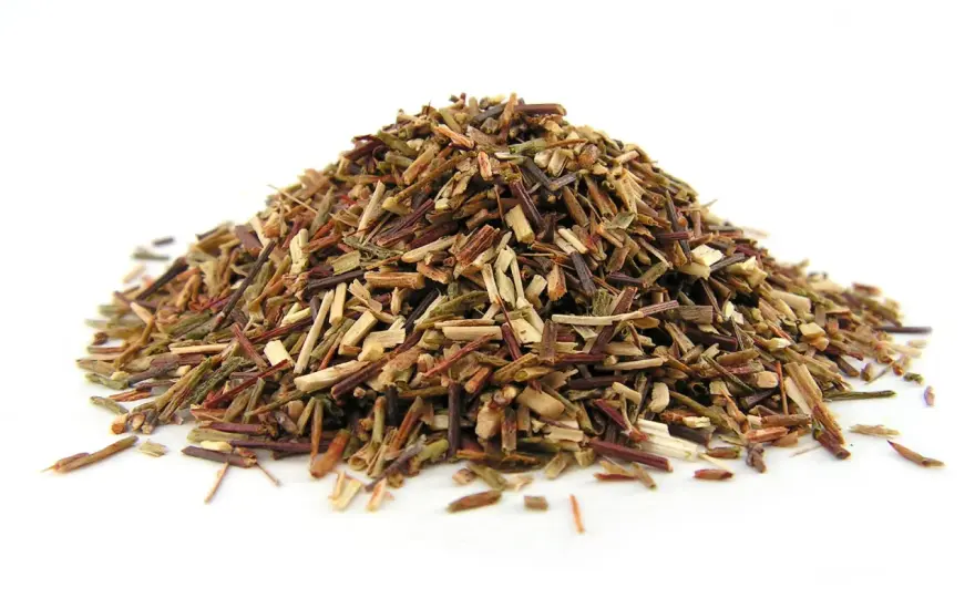 Zielony rooibos - bez kofeiny. Jak parzyć i wybrać?