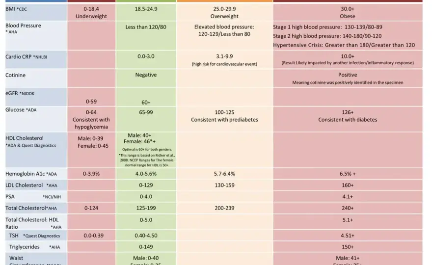 Trójglicerydy - jakie są normy i kiedy wynik powinien niepokoić?
