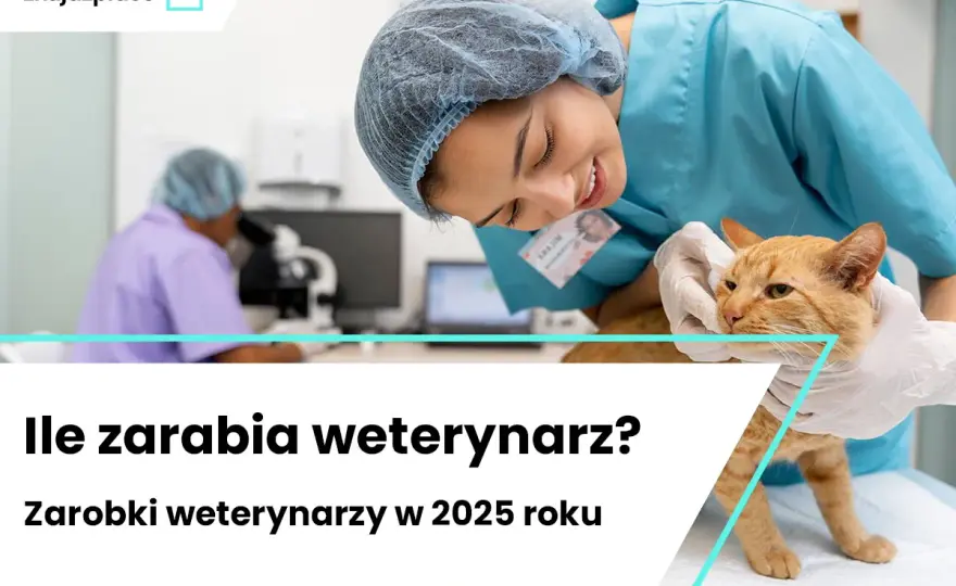 Weterynarz zarobki: 7540 zł brutto? Poznaj realne kwoty!