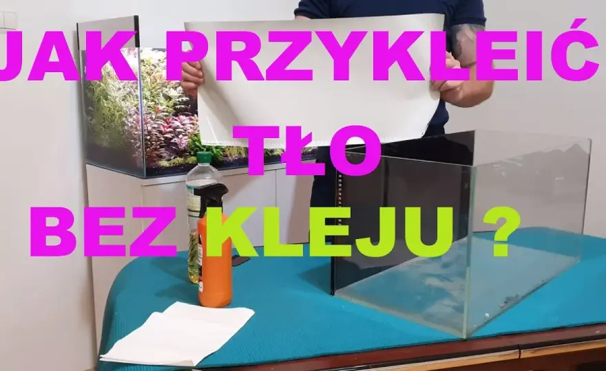 5 skutecznych metod przyklejania tła do akwarium bez kleju
