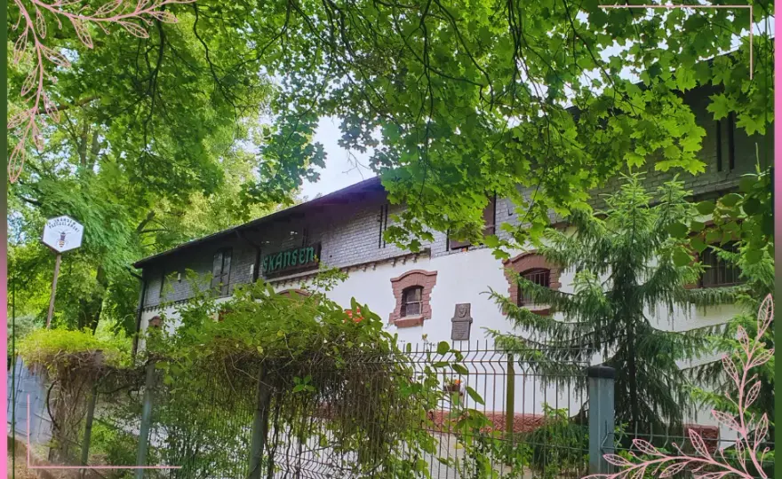 Skansen pszczelarski w Swarzędzu - historia, eksponaty i atrakcje