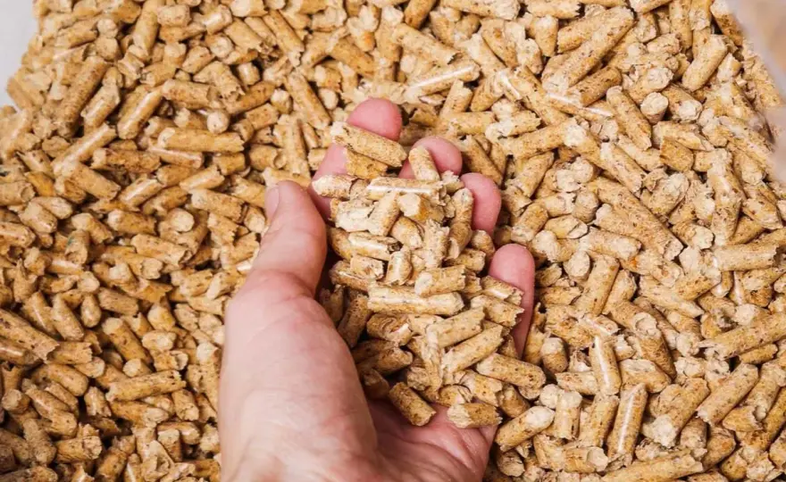 Pellet drzewny: Czysta energia? Jak wybrać i gdzie szukać dotacji