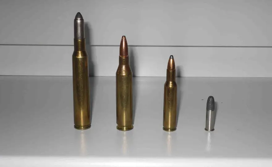 .222 vs .223 Remington - Choisissez la bonne cartouche