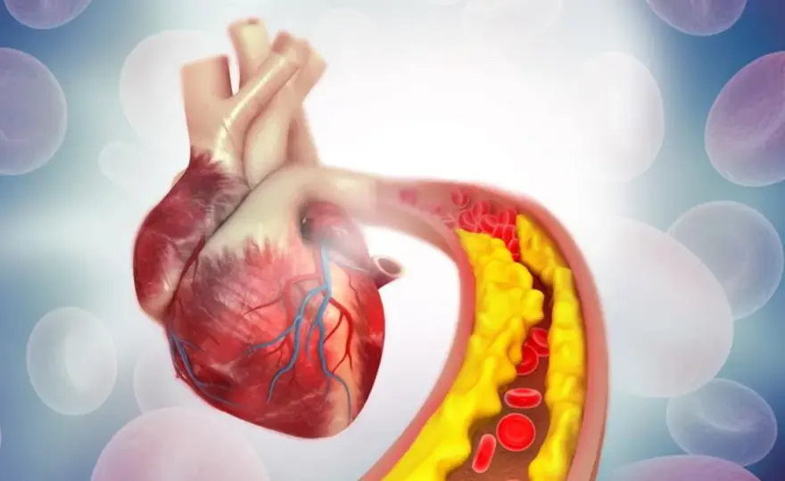 Twój cholesterol: Jak zbadać, zrozumieć wyniki i chronić serce?