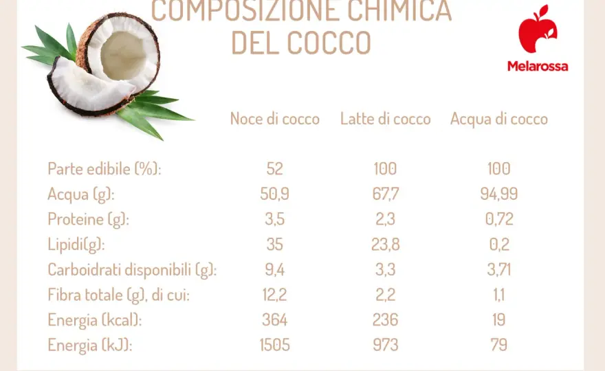 Cocco - Valori nutrizionali e usi: la guida definitiva