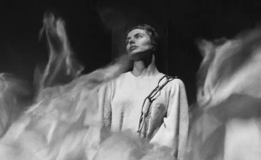 Ingrid Bergman-rosen - Så lyckas du med denna klassiker