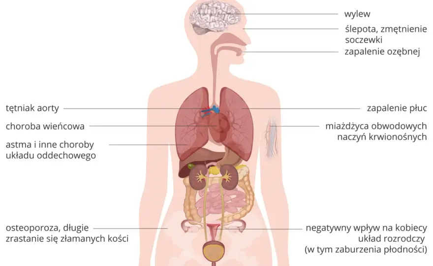 Układ oddechowy - budowa, objawy, choroby. Kiedy reagować?