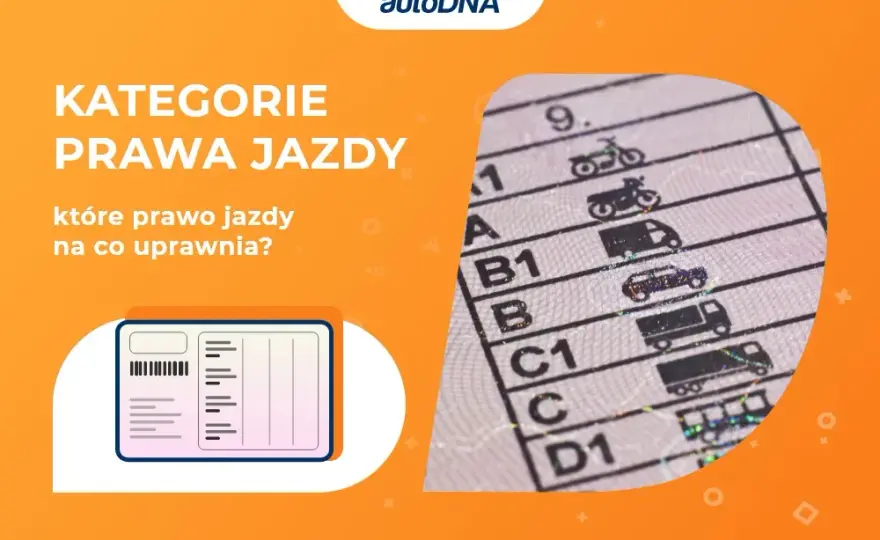 Prawo jazdy do 7,5 tony: Unikaj błędów i poznaj prawdziwe wymagania kategorii C1