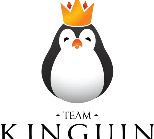 Team Kinguin: Wzloty i upadki polskiej legendy e-sportu