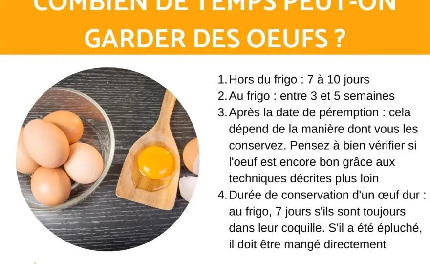 Conserver les œufs sans erreur - coquille, stockage, durée