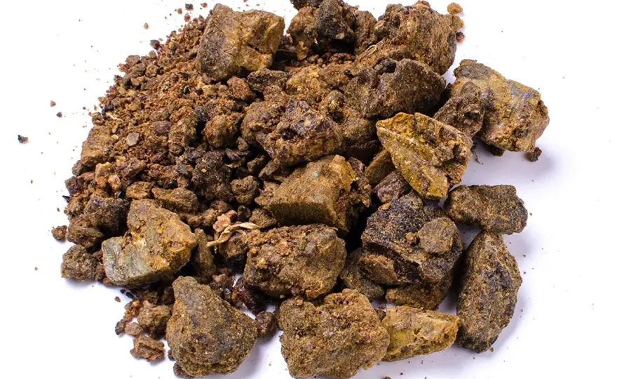Propolis - skutki uboczne, alergia i kiedy go odstawić