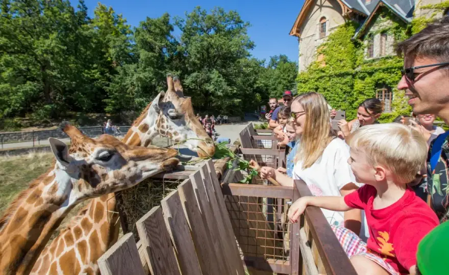 Parcs d'attractions Ardèche : Le guide complet pour votre famille
