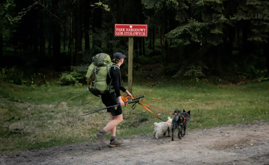 Woliński Park Narodowy z psem - Czy można wejść? Sprawdź zasady