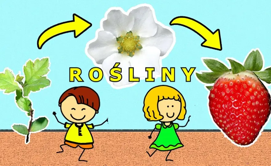 Co jest potrzebne roślinie do życia? Odkryj tajemnice w filmie edukacyjnym