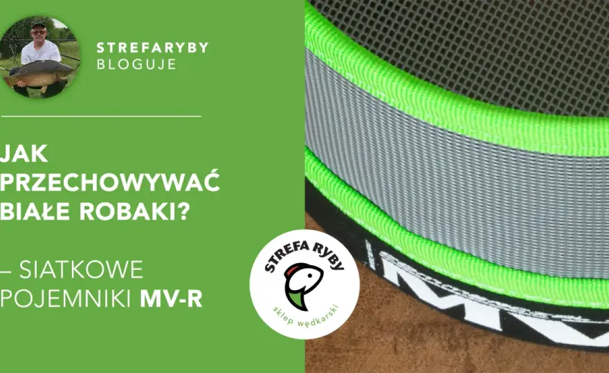 Jak przechowywać robaki na ryby? Sekrety długiej żywotności przynęt