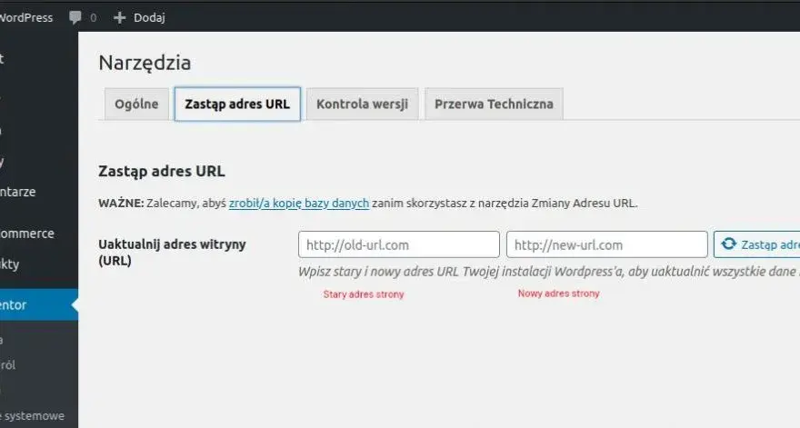 Zmiana domeny WordPress: Bezpieczny przewodnik krok po kroku (SEO)