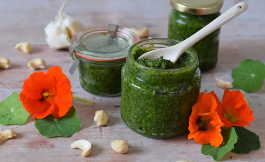 Kapuzinerkresse-Pesto selber machen und richtig aufbewahren