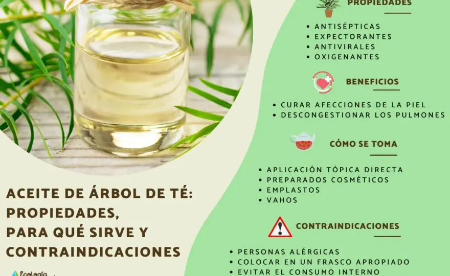 Aceite del árbol del té en cosmética - usos, riesgos y cómo elegirlo