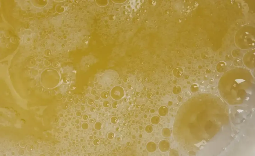 Gdzie kupić białko do drinków? Najlepsze opcje i porady