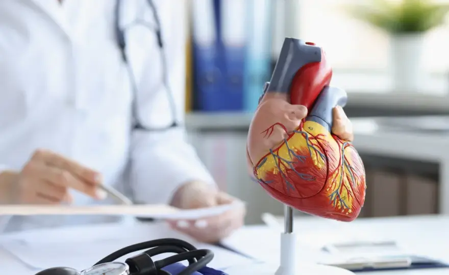 Vorsorge Herzinfarkt: So senken Sie Ihr Risiko effektiv und nachhaltig