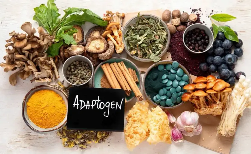 Adaptogeny - co to i kiedy naprawdę działają?