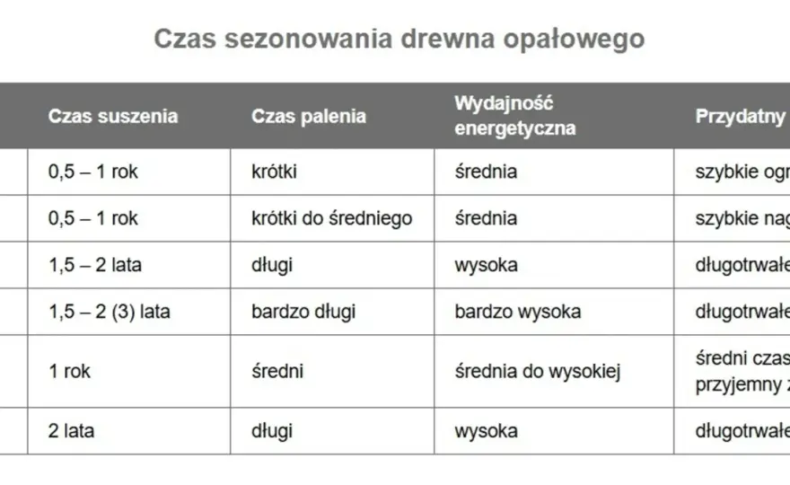 Ile schnie drewno? Czas suszenia i bezpieczna wilgotność