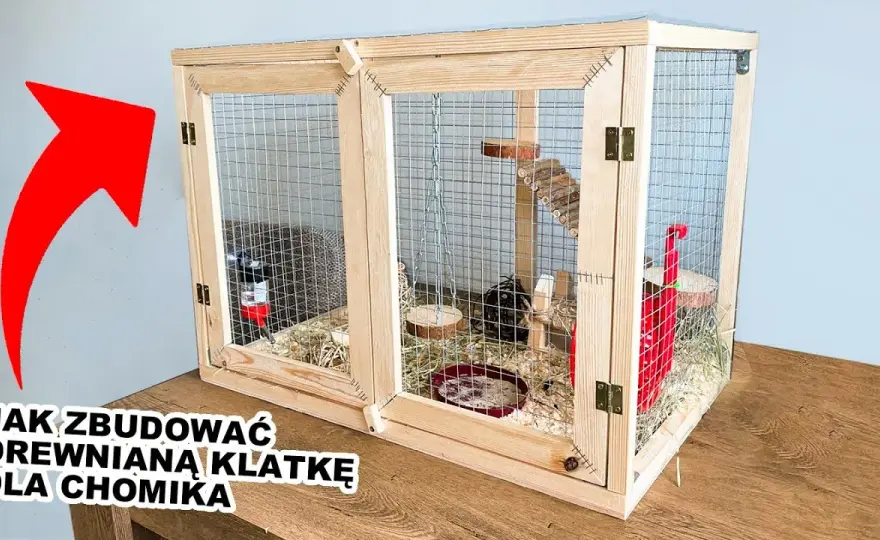 Plac zabaw dla chomika DIY: Bezpieczne pomysły i instrukcje krok po kroku