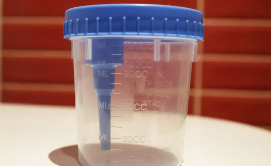 Raccolta urine neonato - Guida per un campione affidabile