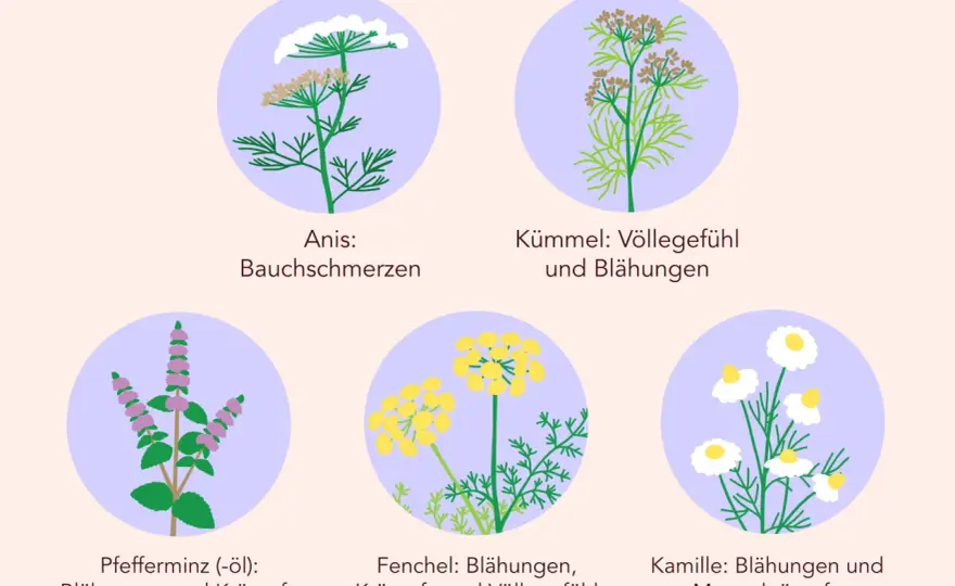Reizdarm Medikamente: Effektive Lösungen für Ihre Beschwerden finden