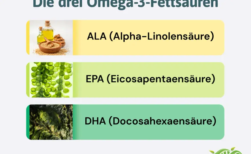 Wie viel Omega-3 am Tag sinnvoll ist