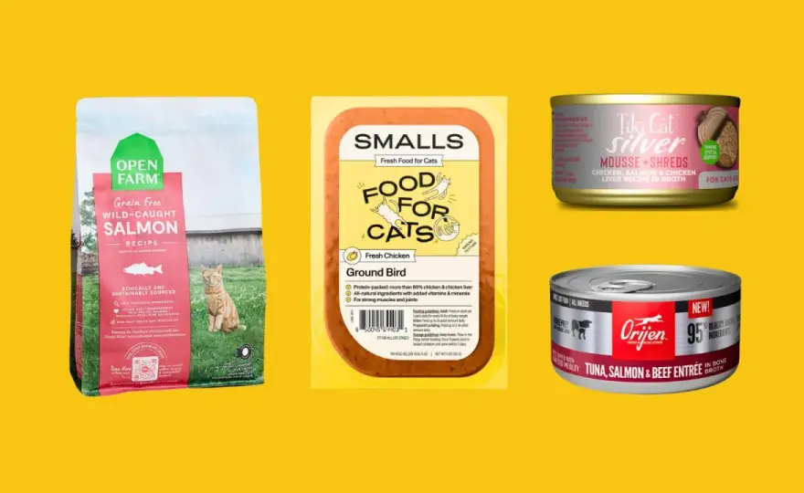 Healthiest Cat Food for Indoor Cats - Your Guide to Optimal Nutrition