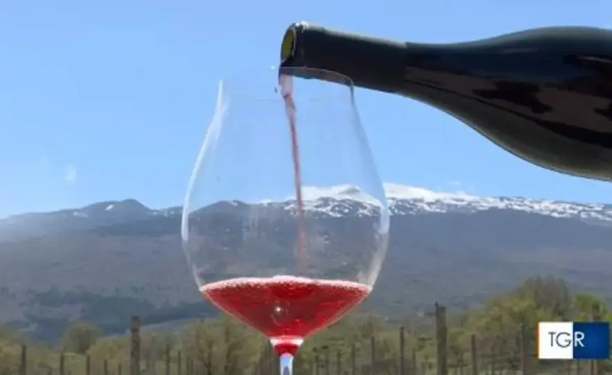 Vini Etna - Guida completa: scegli la bottiglia perfetta