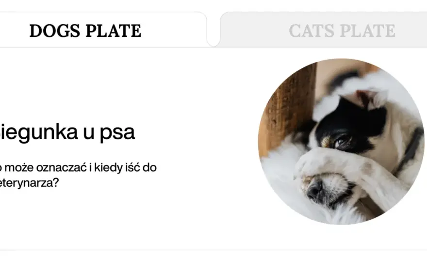 Wymioty i biegunka u psa - Kiedy do weterynarza?