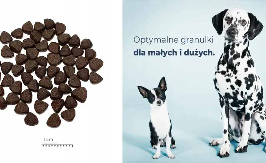 Karma z jelenia dla psa - Jak wybrać najlepszą i na co uważać?