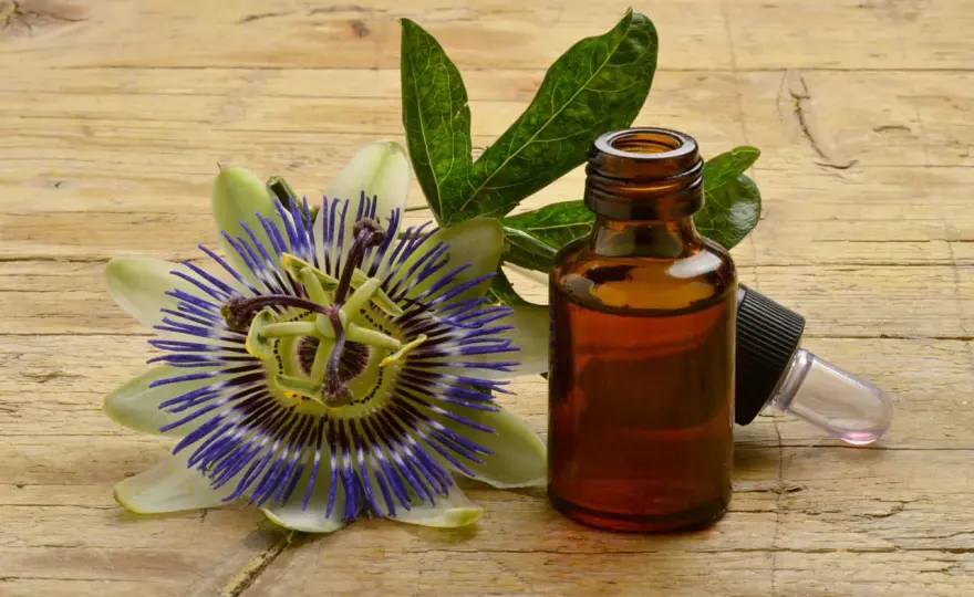 Passiflora per stress e sonno, proprietà e precauzioni