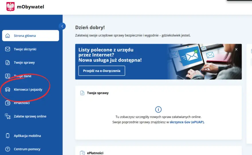 Punkty karne - Jak sprawdzić saldo i jak legalnie je zredukować?