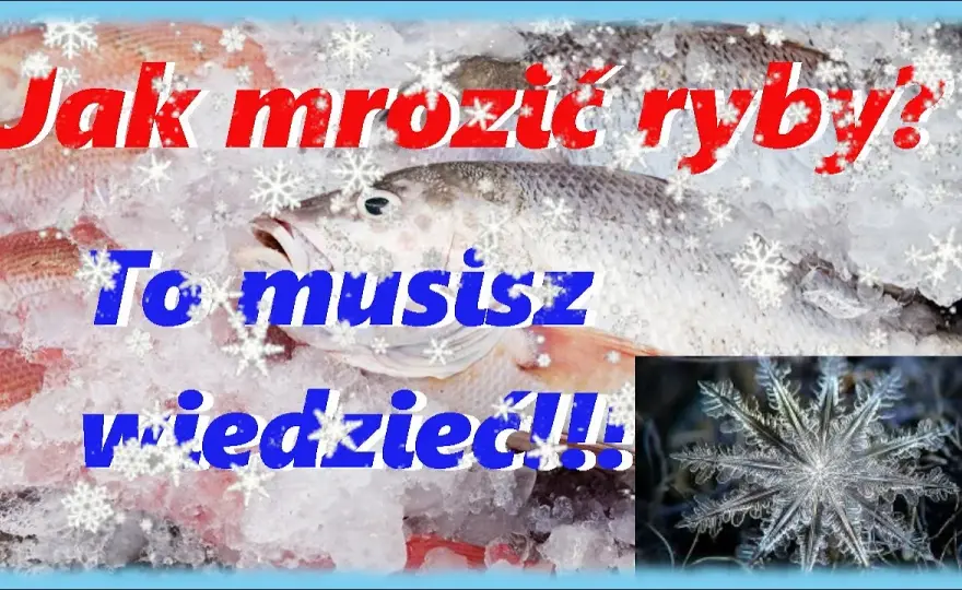 Jak długo mrozić ryby? Ekspert radzi, by smakowały jak świeże