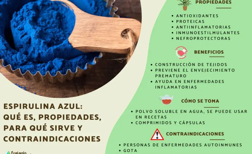 Espirulina - Para qué sirve, beneficios y cómo tomarla
