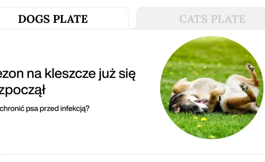 Czystek dla psa: naturalna ochrona przed kleszczami? Sprawdź!