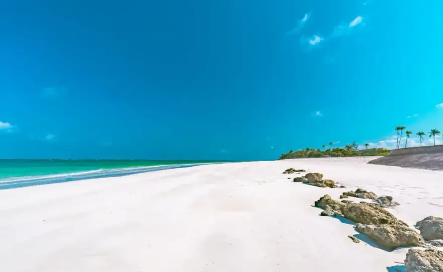 Kiedy lecieć do Kenii - Najlepszy termin na safari i rajskie plaże