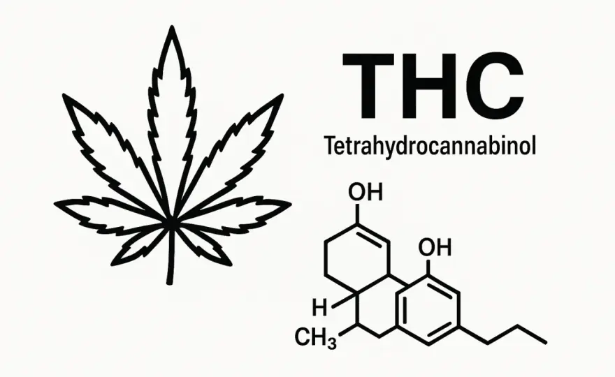 THC - Co to jest i jak działa? Pełny przewodnik po marihuanie
