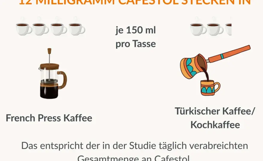 Kaffee & Cholesterin - So beeinflusst die Zubereitung Ihren LDL-Wert