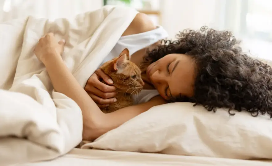 Katze im Bett? So klappt Mit-Schlafen ohne nächtlichen Stress