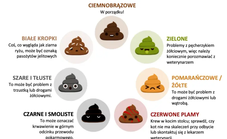 Jak rozpoznać różne rodzaje kupy u psa: Co oznacza jasna i ciemna kupa