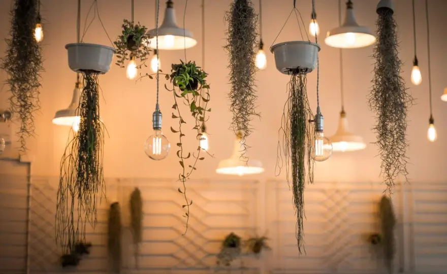 Espectro LED - La clave para una luz perfecta en casa