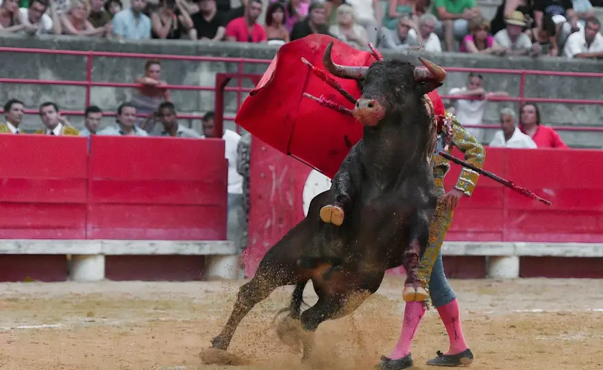 Toreros españoles - Claves para entender el toreo
